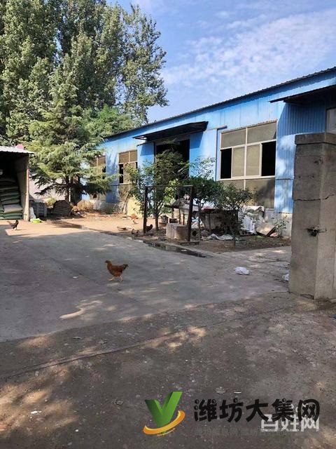 (快租免費尋址)濰城區望留鎮市場村廠房出租