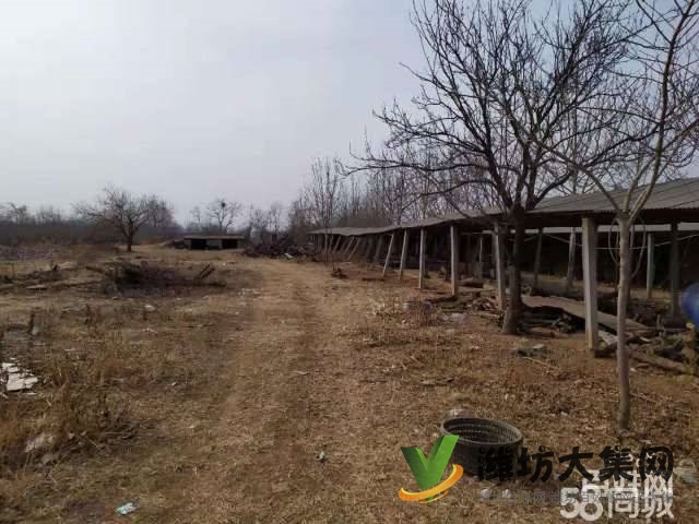 {快租免費尋址}濰城軍埠口大寨村好地段倉庫出租