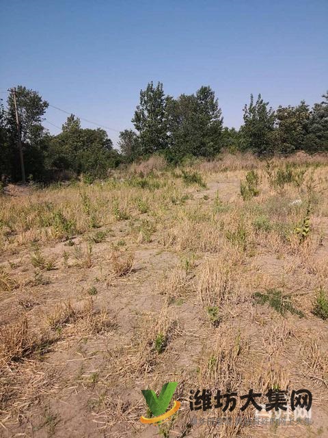 {快租免費尋址}濰城于河街道河崖頭村土地出租