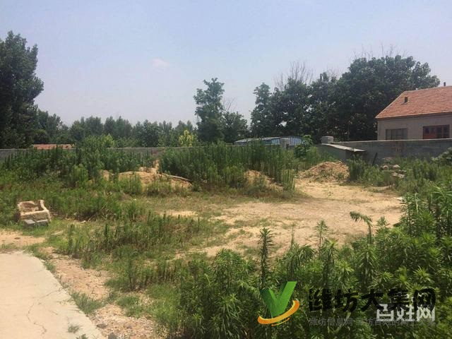 {快租免費尋址}濰城區潘里西遠里村好地段廠房出租