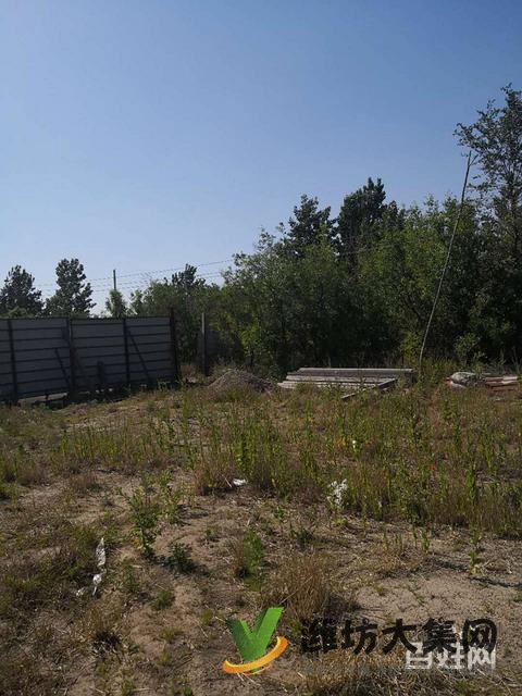 {快租免費尋址}濰城于河街道河崖頭村土地出租