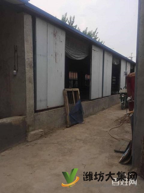 (快租免費尋址)濰城區寶通西街夏家村廠房出租