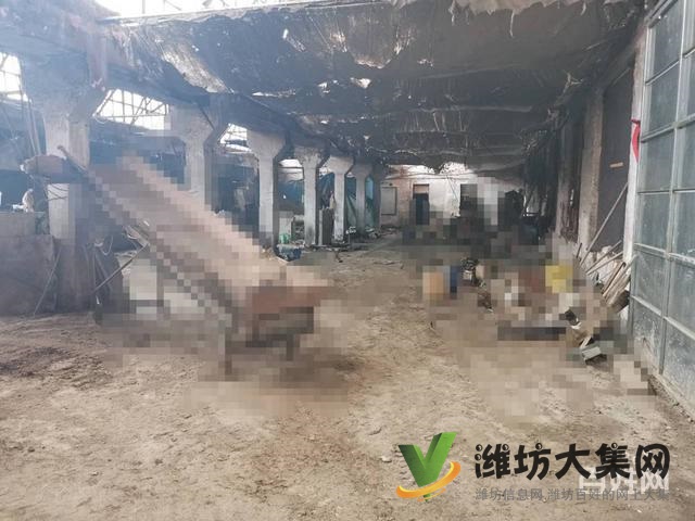 {快租免費尋址}坊子眉村309國道優 質廠房出租