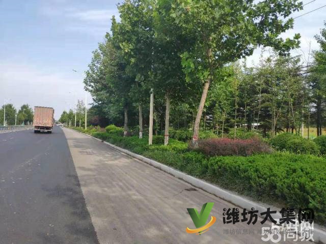 (快租免費(fèi)尋址)坊子新區(qū)濰膠路南店村廠房出租