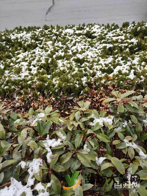 泰華近 天源華府二室一廳,精裝,領(lǐng)包入住