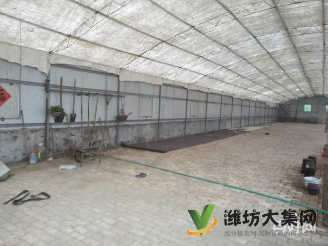 《迅租免費(fèi)找店》濰坊趙家文莊吉院出租