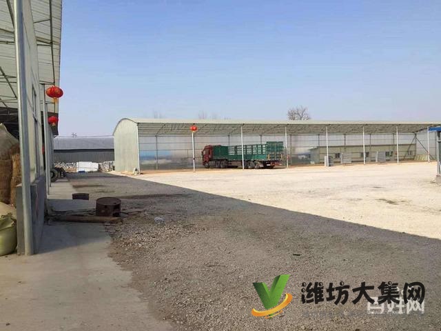 {快租免費尋址}壽光壽堯路與308國道旁廠房出租