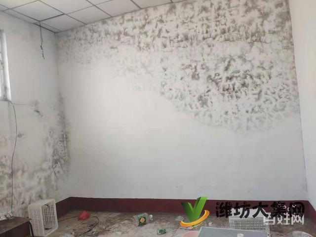 {快租免費尋址}昌樂縣濰臨路南解家莊優 質廠房出租