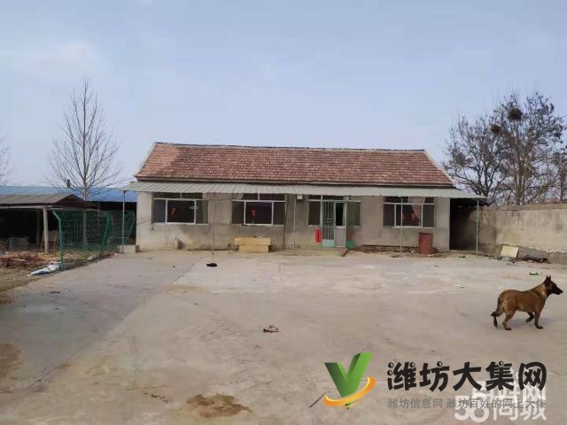 {快租免費尋址}濰城軍埠口大寨村好地段倉庫出租