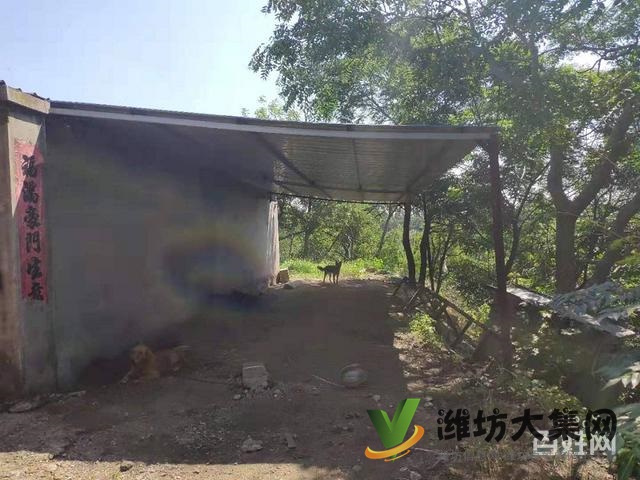 (快租免費(fèi)尋址)濰城區(qū)寶通街符山鎮(zhèn)下八甲村廠房出租