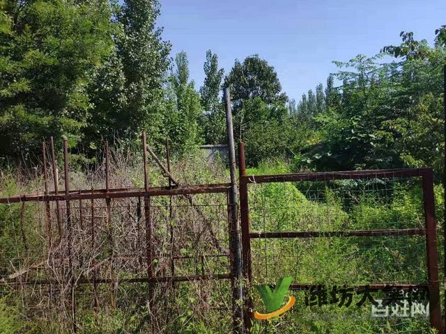 (快租免費(fèi)尋址)濰城區(qū)寶通街符山鎮(zhèn)下八甲村廠房出租