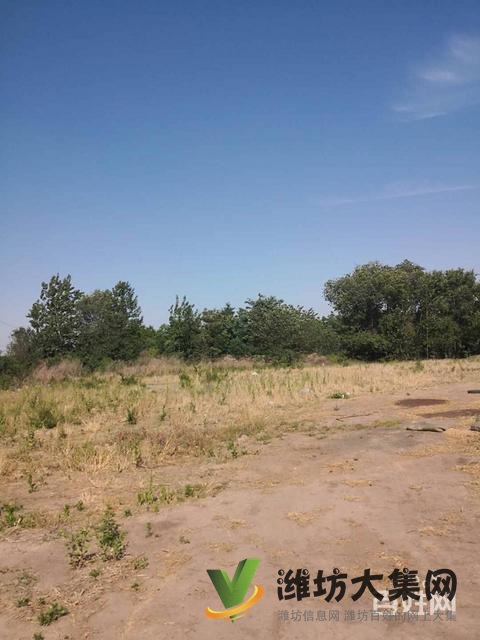 {快租免費尋址}濰城于河街道河崖頭村土地出租