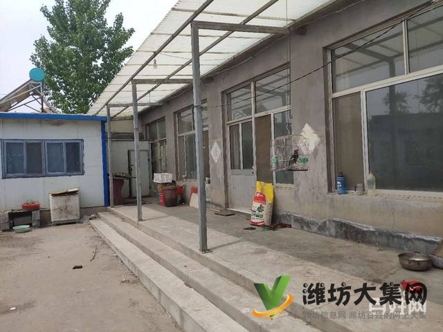 {快租免費(fèi)尋址}坊子老區(qū)好地段廠房出租可整可分