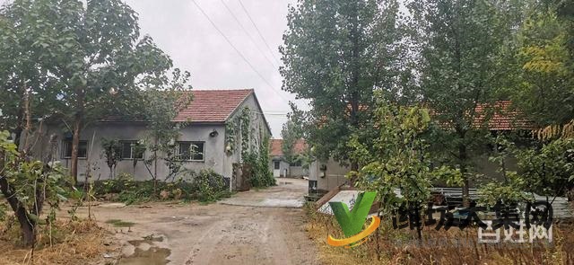 (快租免費尋址)濰城寶通街擁軍路廠房出租