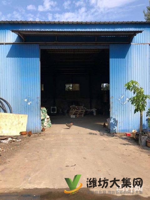 (快租免費尋址)濰城區望留鎮市場村廠房出租