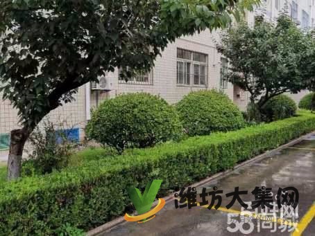 華都金馬小區(qū)精裝修帶地下室車位三臥朝陽(yáng)拎包入住