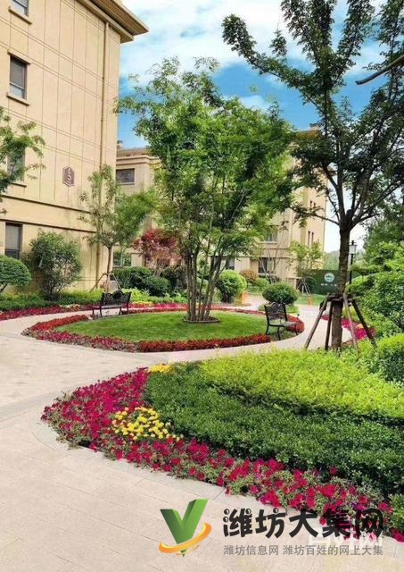 搶 超低 價2999元平住泰華旁花園洋房 僅29