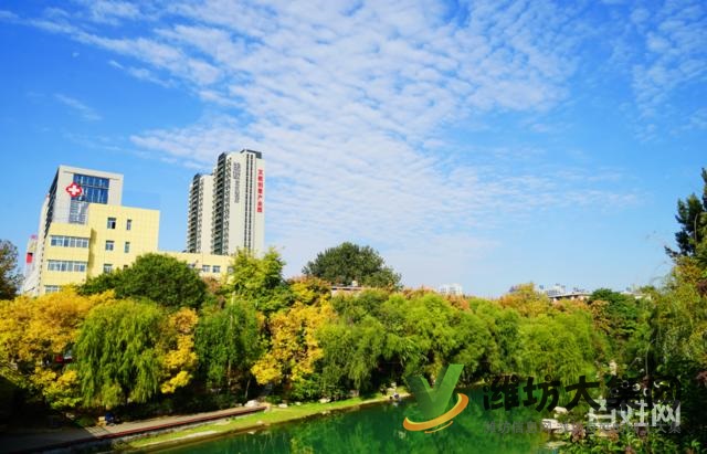 陽光100鳳凰社四室兩廳兩衛(wèi)住宅164平南北通透