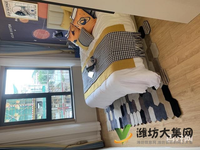 陽光100劃片實(shí)小廣文164平 南北通透