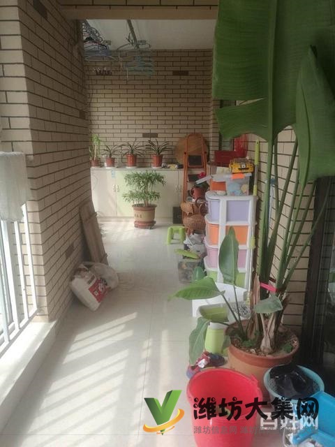 上城國(guó)際 3室2廳133平方123萬(wàn)精裝修南北通透