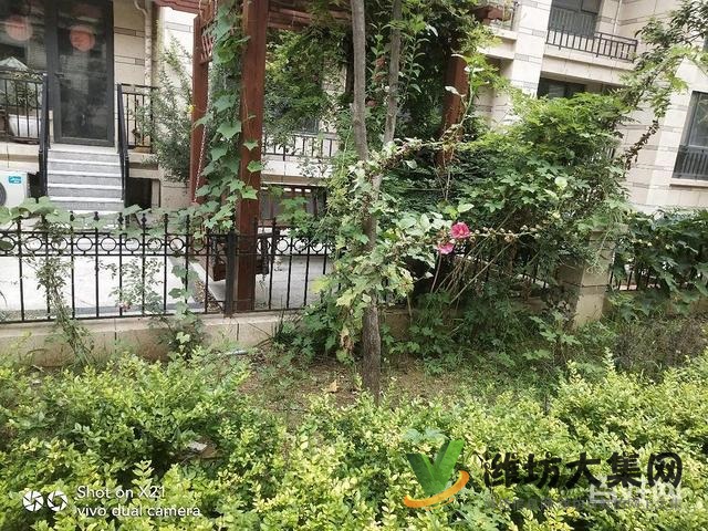 安丘一中學(xué)校緊鄰 尚水名邸一樓帶院 精裝拎包入住三