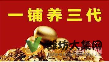 投入少,風險低,即買即分紅!