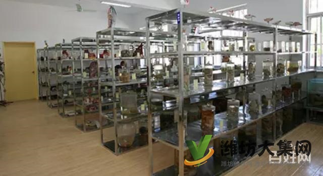 中考成績不理想,濰坊時代醫(yī)護學院專業(yè)幫你忙