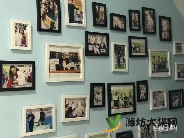 一諾寵物美容師培訓學校,免費試學,讓你贏在起跑線