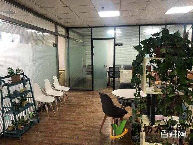 濰坊高考日語,哪里好找濰坊和聲國際教育