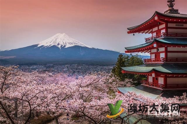 濰坊日語興趣班,找濰坊和聲日語