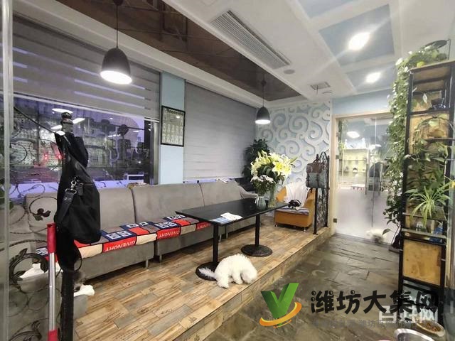 一諾寵物美容師培訓學校,免費試學,讓你贏在起跑線