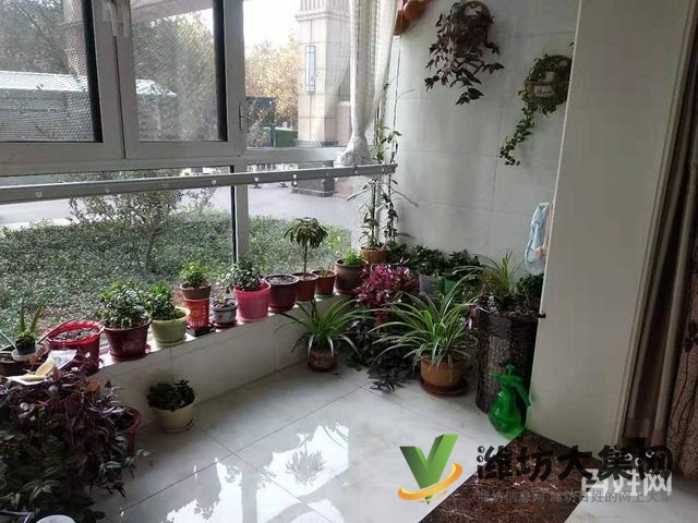 {快租免費尋址}濰城北宮街金碧廣場精裝美容店出租