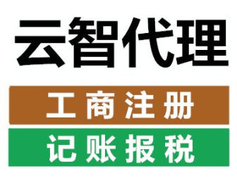 云智會計代理的圖標