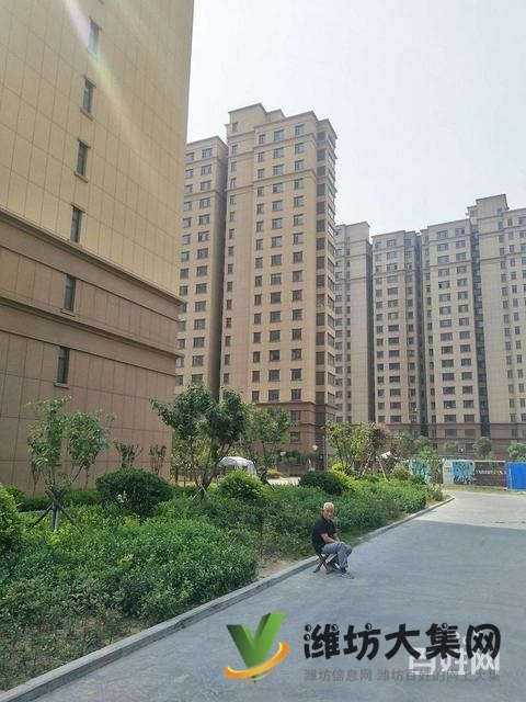 凡爾賽麗都 115平3室2廳60萬(wàn) 急售急售