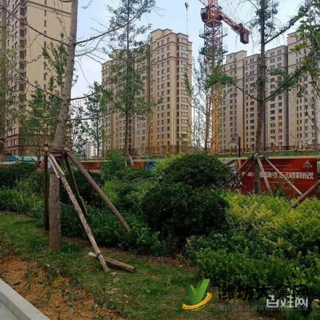 濰城區政府近 凡爾賽麗都 團購4680每平3室大H