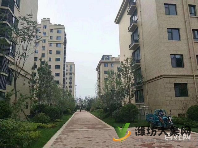 整租,圣基金碧廣場 2室85平挑高客廳 寬敞大氣 雙氣供暖