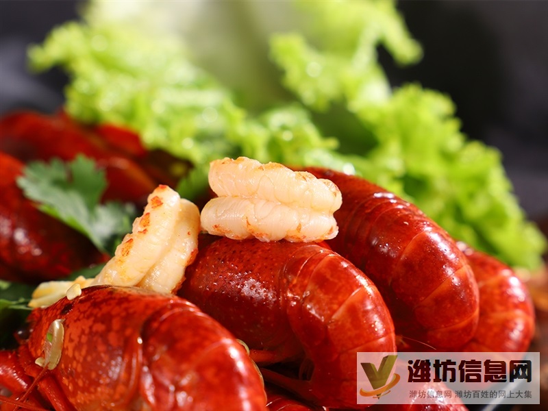 濰坊魔影文化傳媒有限公司