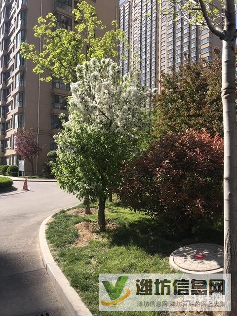 市府廣場(chǎng)近紫瑞園樓中間樓層