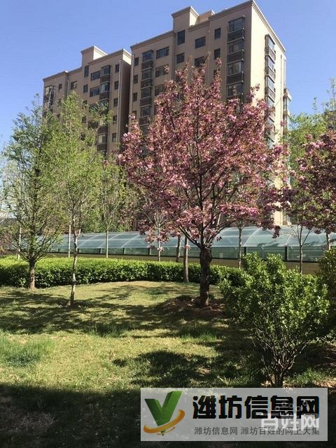 市府廣場(chǎng)近紫瑞園樓中間樓層