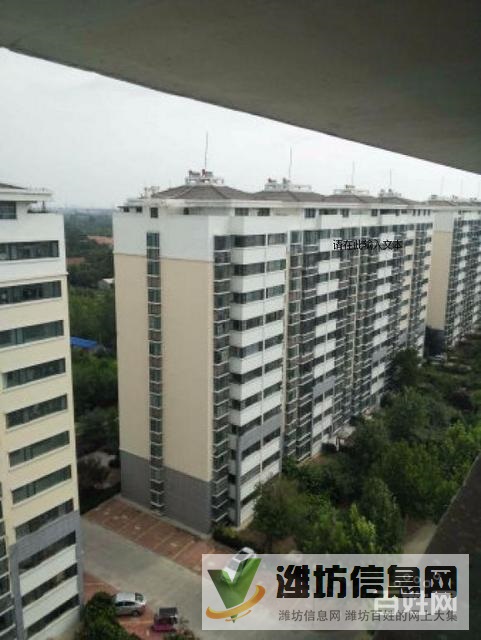 降價急售豪德小學對面舜和園(碧水莊園)電梯洋房大H