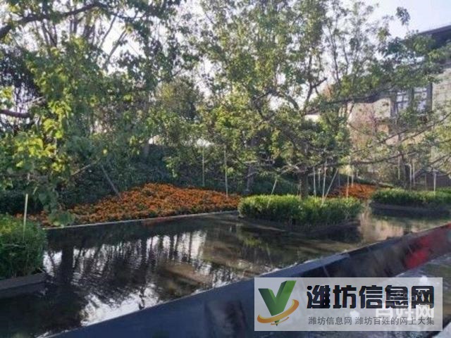 單價4200 H戶型客廳朝陽兩臥朝陽,南北通透,方正實用