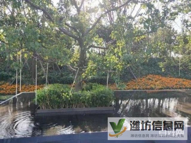 單價4200 H戶型客廳朝陽兩臥朝陽,南北通透,方正實用