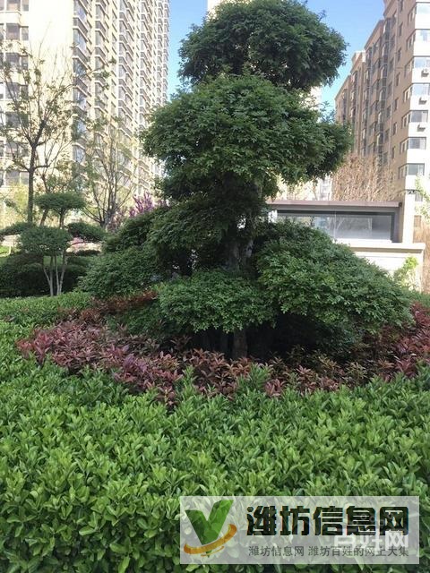 市府廣場(chǎng)近紫瑞園樓中間樓層