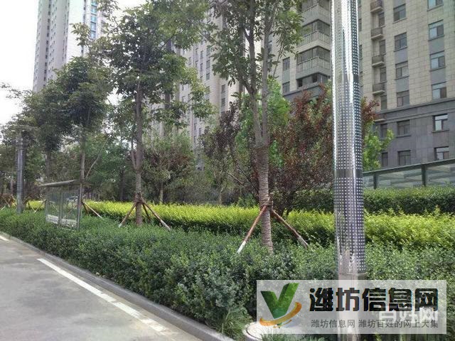 高新城市廣場 160平四居室 下證過戶 貸款