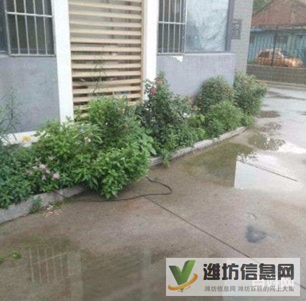 十里春風近大成優盤82平精裝無稅送地下室南北通透僅售53萬