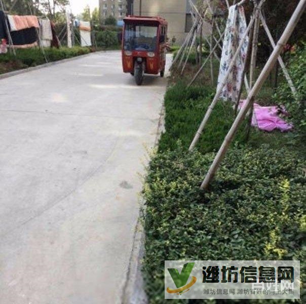 買奧體近大三室,超底價(jià)格,視野 開闊,全天采光南北通透