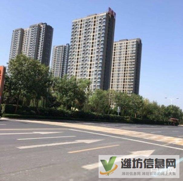 買奧體近大三室,超底價(jià)格,視野 開闊,全天采光南北通透