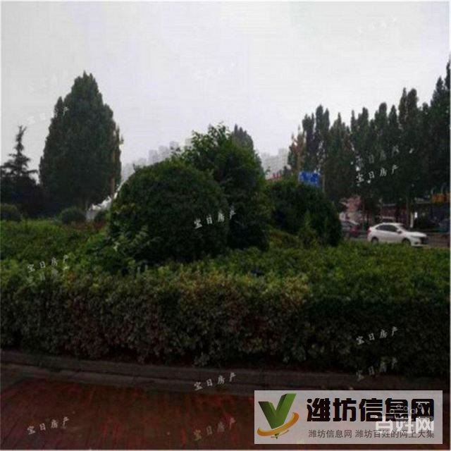 萬達附近中南世紀城精裝一樓帶負一,采光好,僅79萬