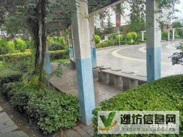 金都家園(濰城) 環境好 精裝全齊 隨時看房 拎包入住