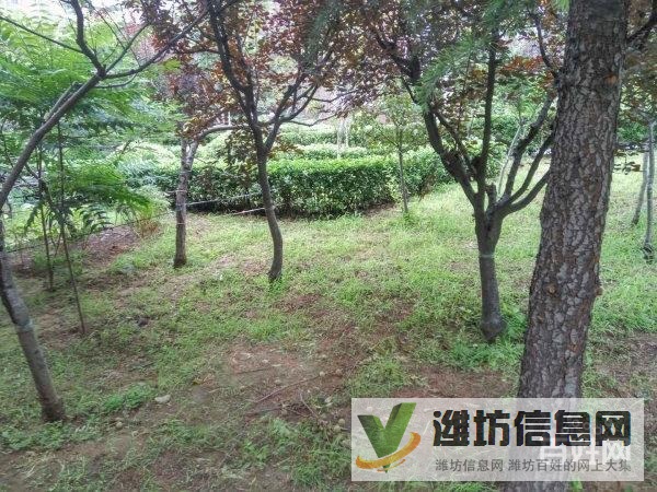 金都家園(濰城) 環境好 精裝全齊 隨時看房 拎包入住69